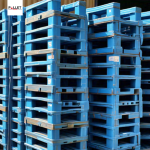 The Role of Plastic Pallets in Streamlining Your Supply Chain in NCR