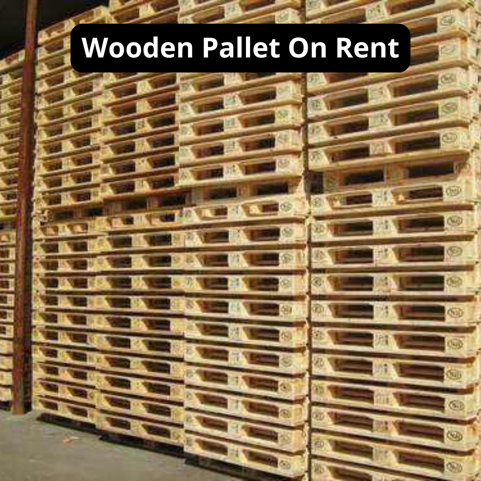 Wooden Pallet on Rent