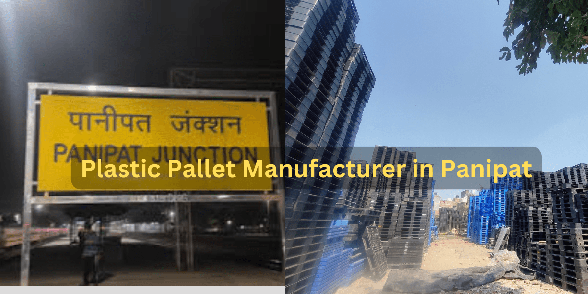 Plastic Pallet Manufacturer in Panipat