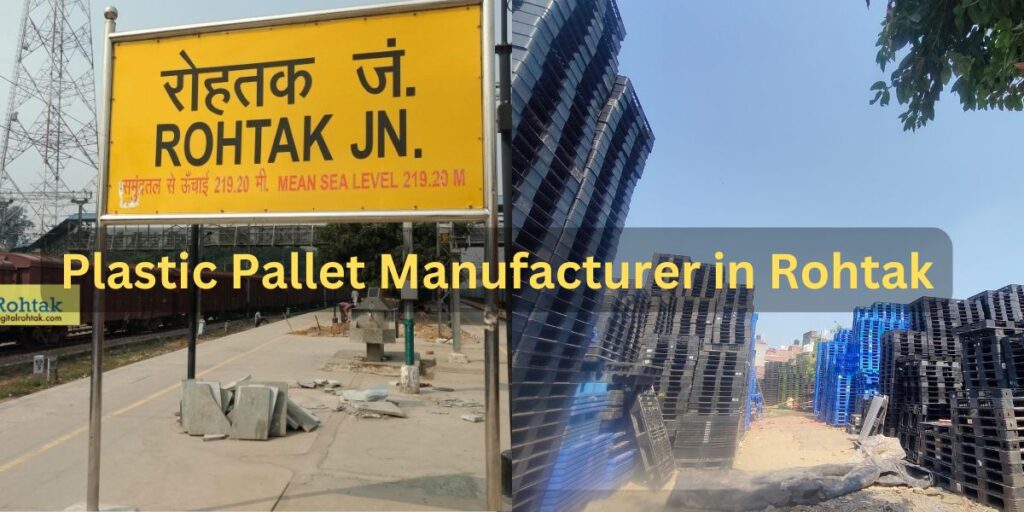 Plastic Pallet Manufacturer in Rohtak | Pallet Bazaar Plastic Pallet Manufacturer in Rohtak