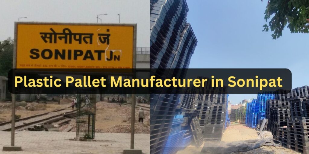 Plastic Pallet Manufacturer in Sonipat | Pallet Bazaar Plastic Pallet Manufacturer in Sonipat