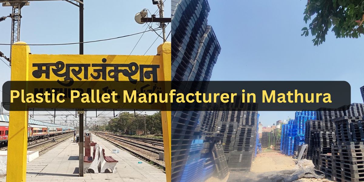 Home | Pallet Bazaar Plastic Pallet Manufacturer in Mathura