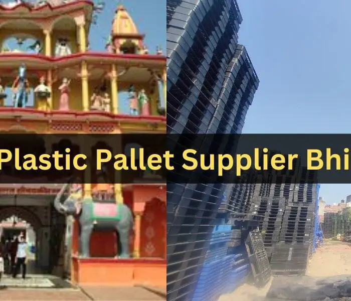 Used Plastic Pallet Supplier Bhiwadi